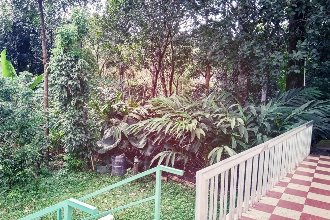 Photo of Others in Thekkady