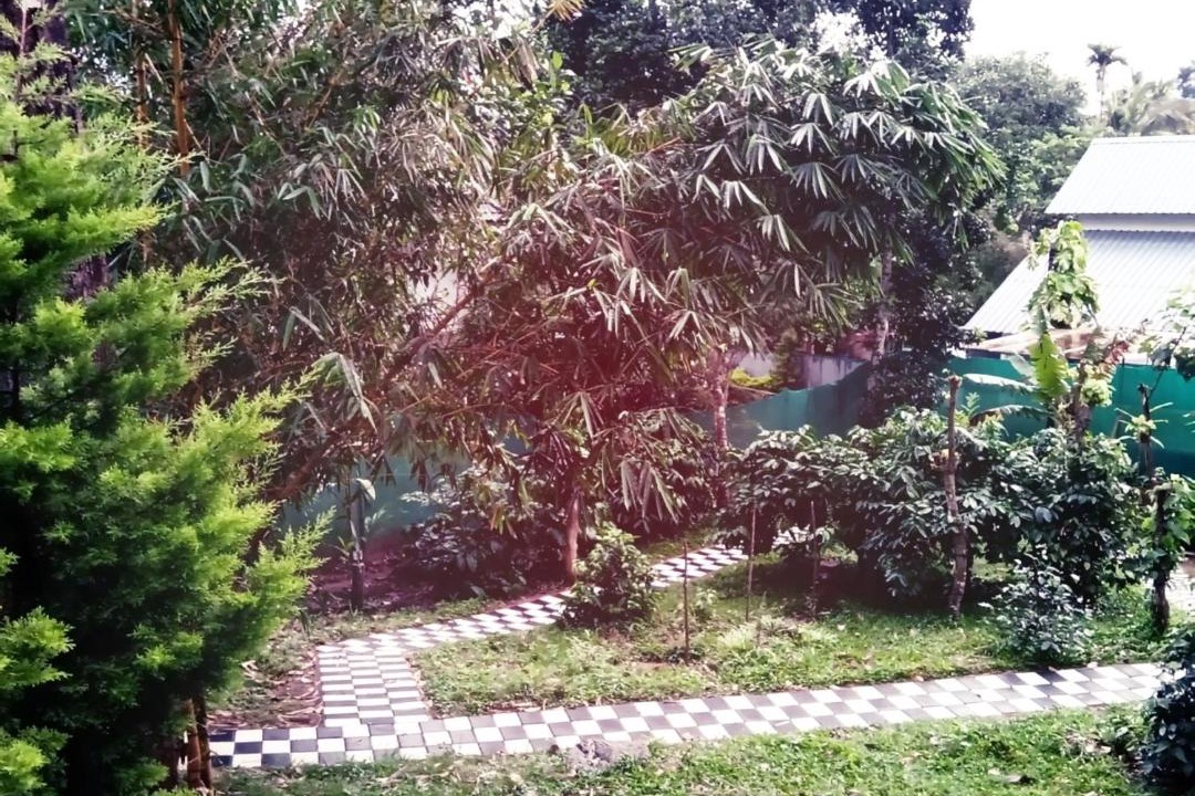 Photo of Others in Thekkady