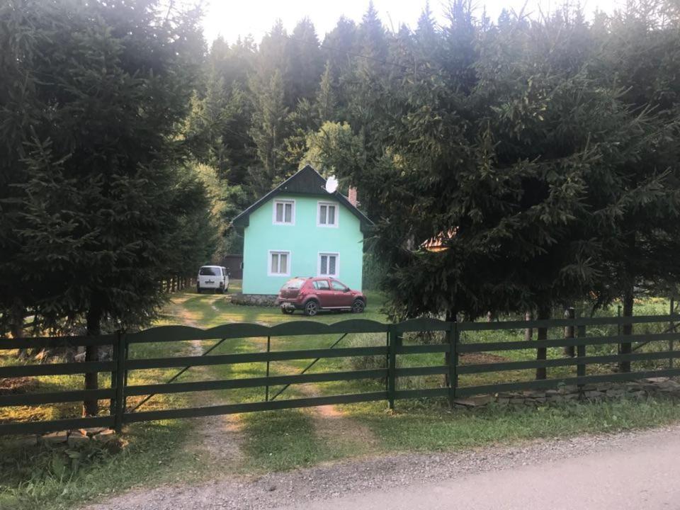 Photo of Others in Izvoare