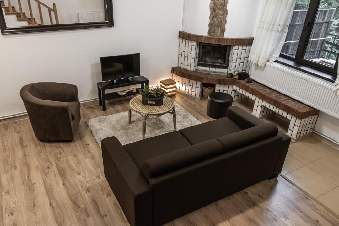 Photo of Livingroom in Sinaia