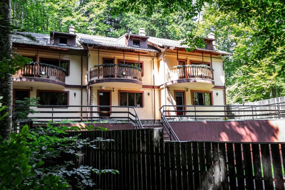 Photo of Others in Sinaia