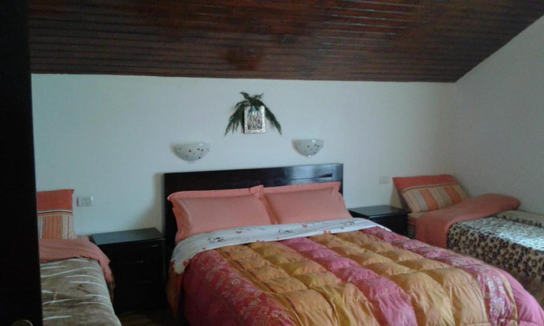Photo of Bedroom in Pausesti-Maglasi