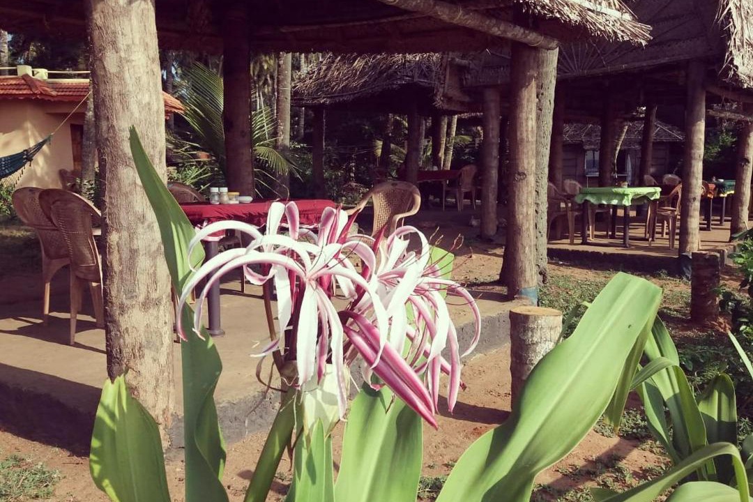 Photo of Others in Varkala