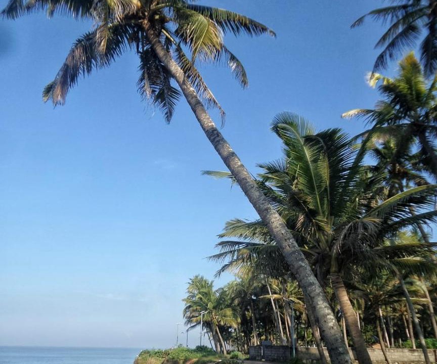 Photo of Others in Varkala