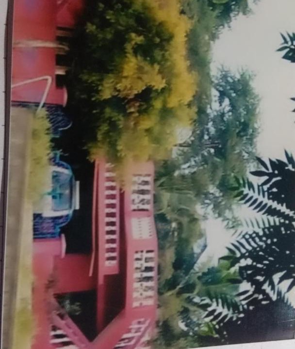 Photo of Others in Kushalnagar