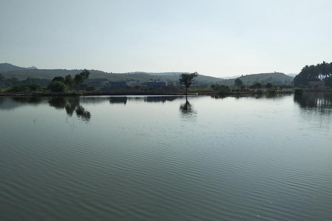 Photo of Others in Puttaparthi