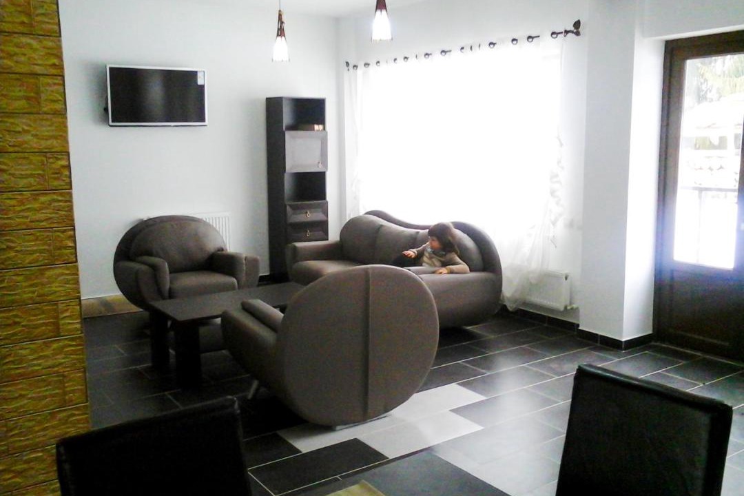 Photo of Livingroom in Neagra Sarului