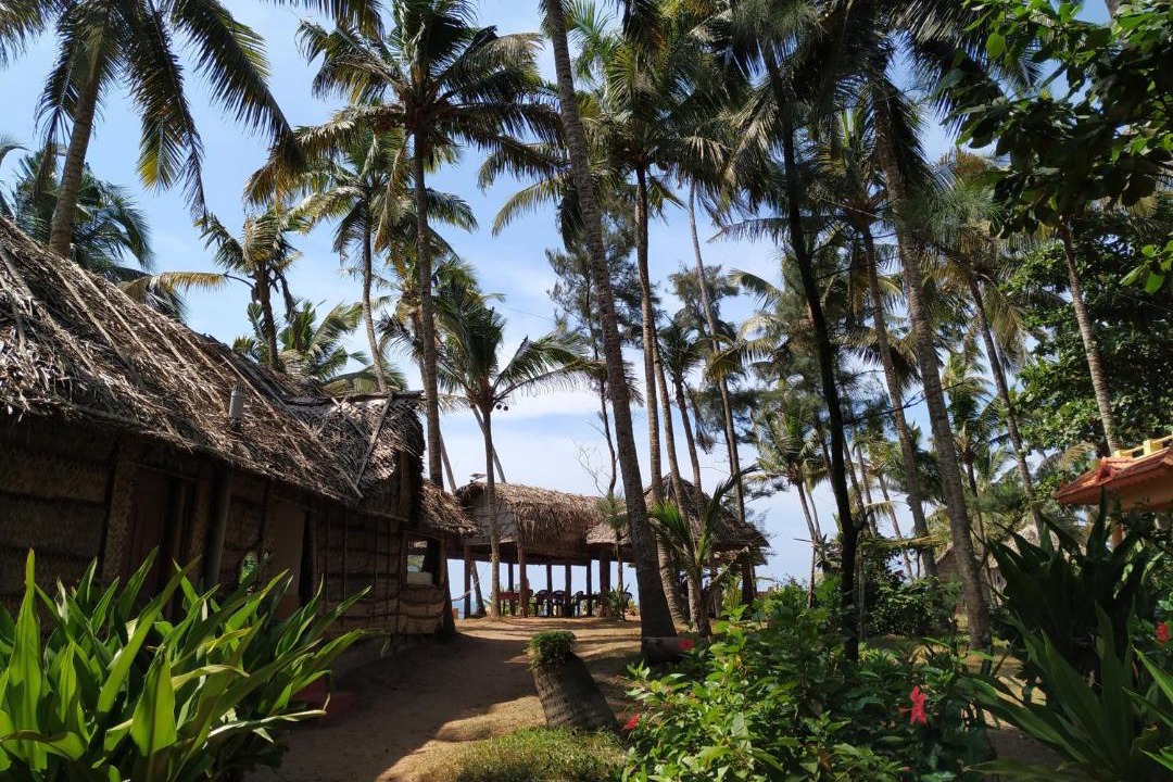 Photo of Others in Varkala