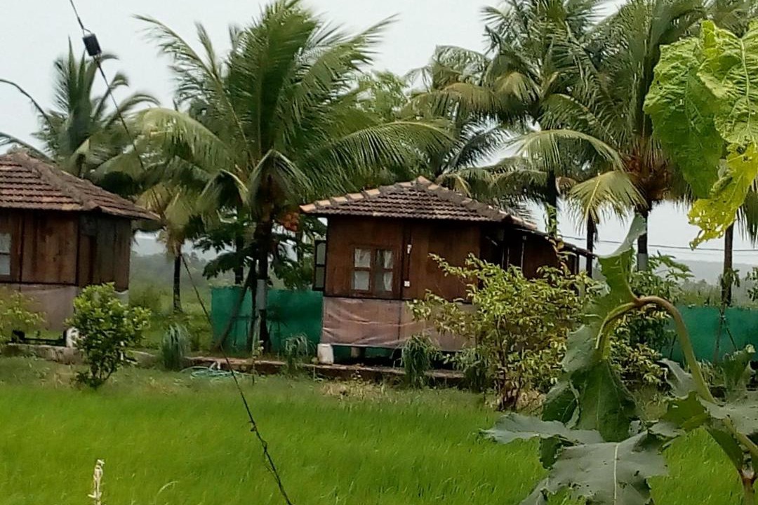 Photo of Buildings in Saligao