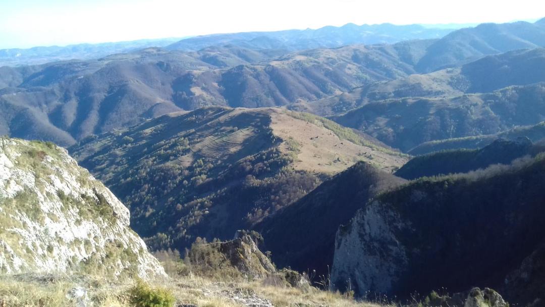 Photo of Others in Ocolis