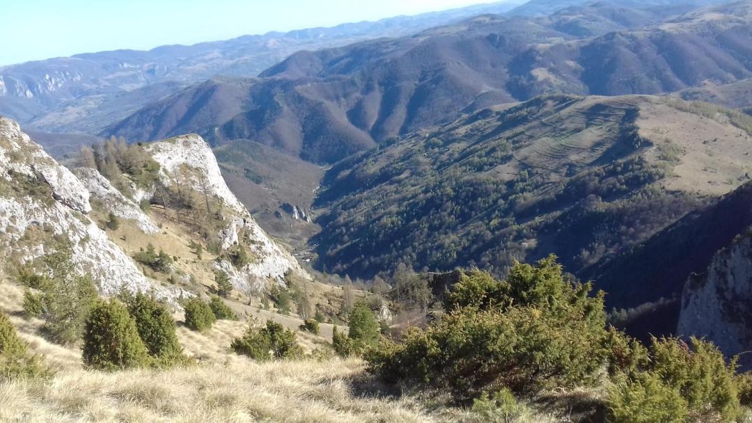 Photo of Others in Ocolis