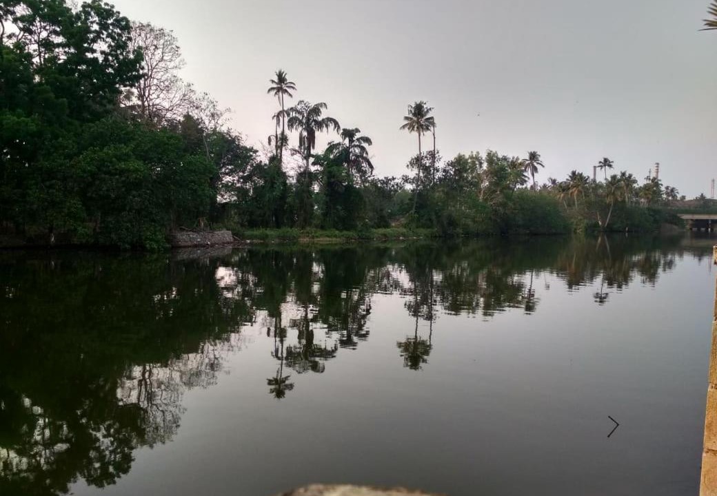 Photo of Others in North Paravur
