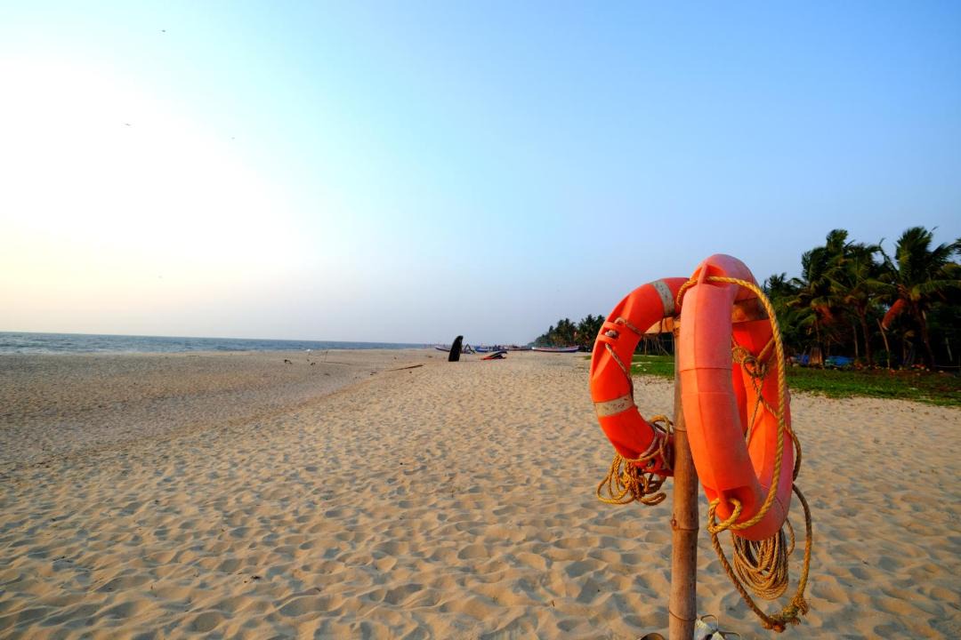 Photo of Others in Mararikulam