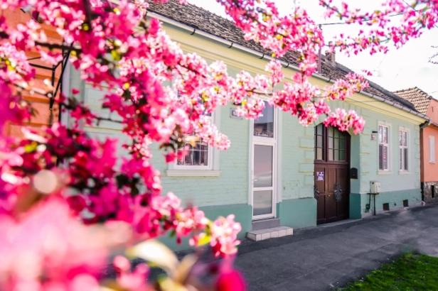 Photo of Others in Sighisoara