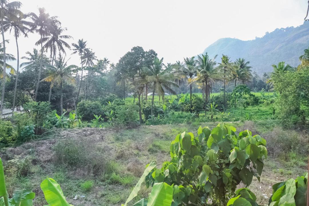 Photo of Outdoor in Adimaly