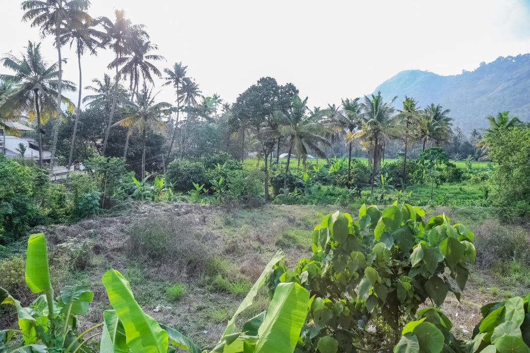 Photo of Outdoor in Adimaly