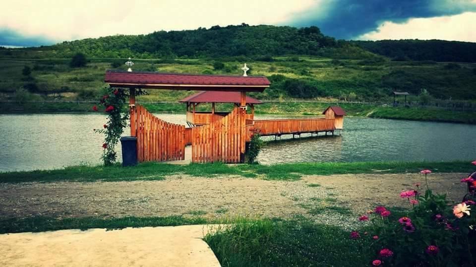 Photo of Others in Dostat