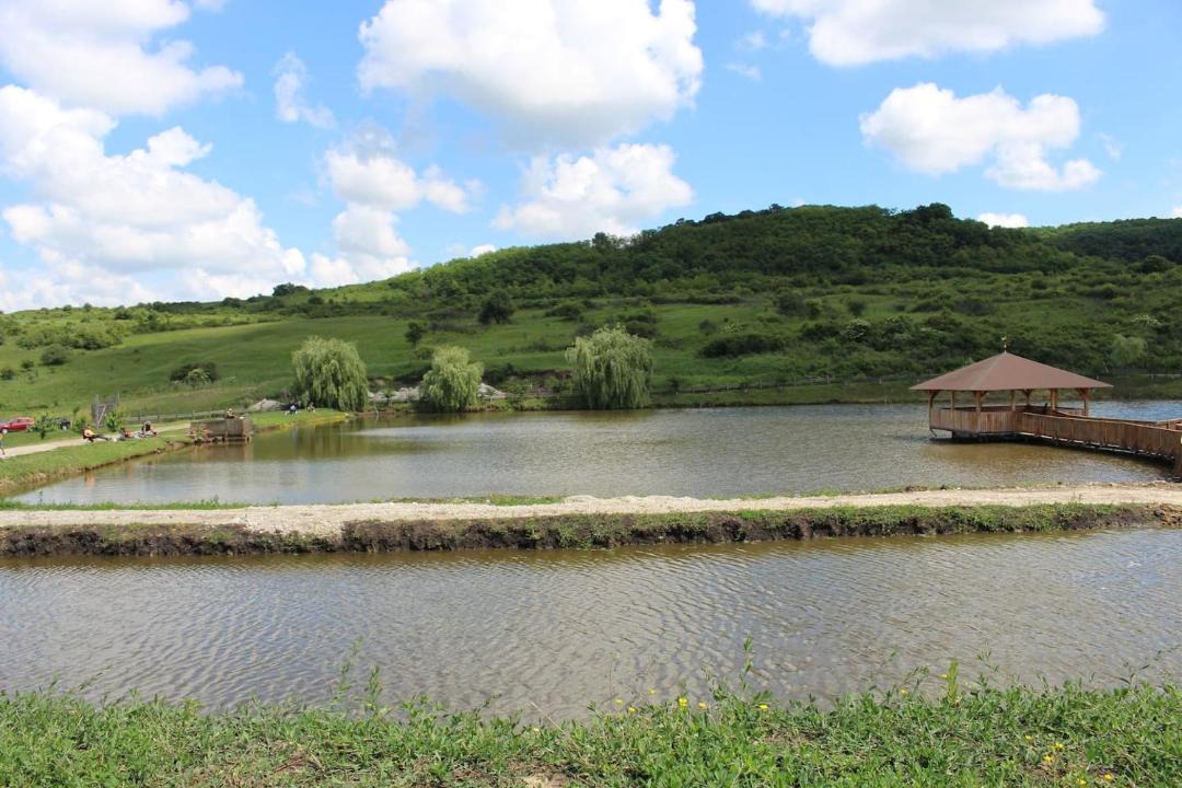Photo of Others in Dostat