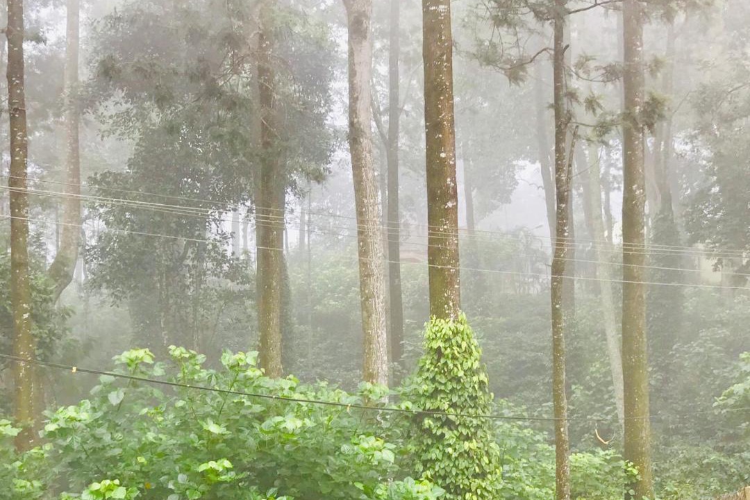 Photo of Others in Yercaud