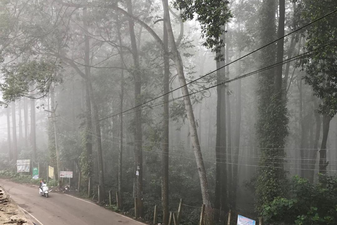 Photo of Others in Yercaud