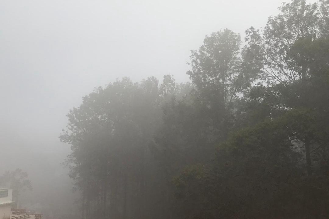 Photo of Outdoor in Yercaud