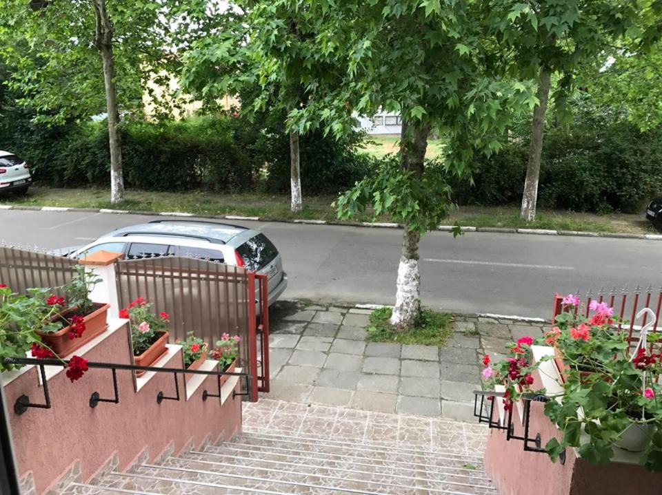 Photo of Others in Eforie Nord