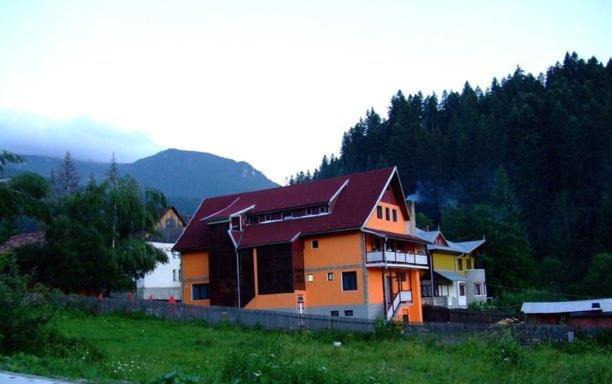 Photo of Others in Durau