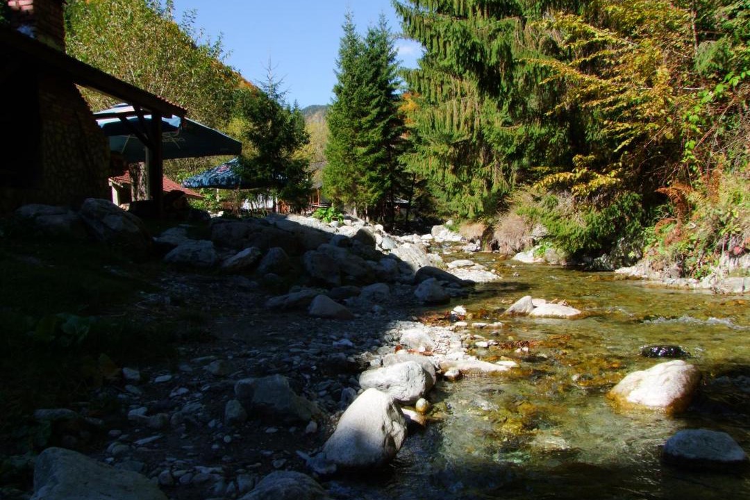 Photo of Others in Malaia