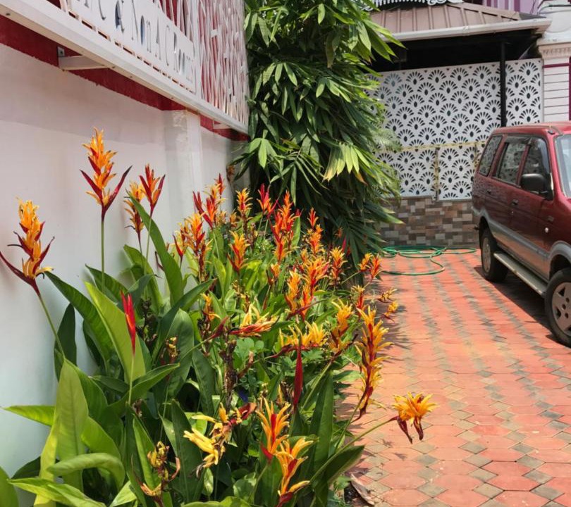 Photo of Others in Kochi