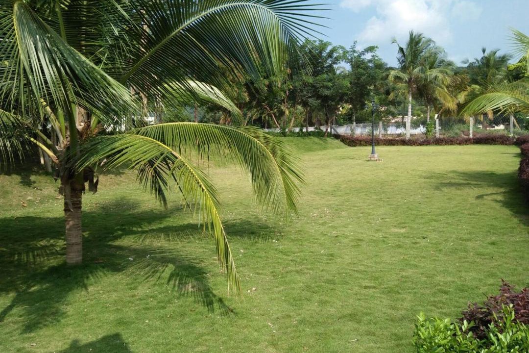 Photo of Others in Nattam