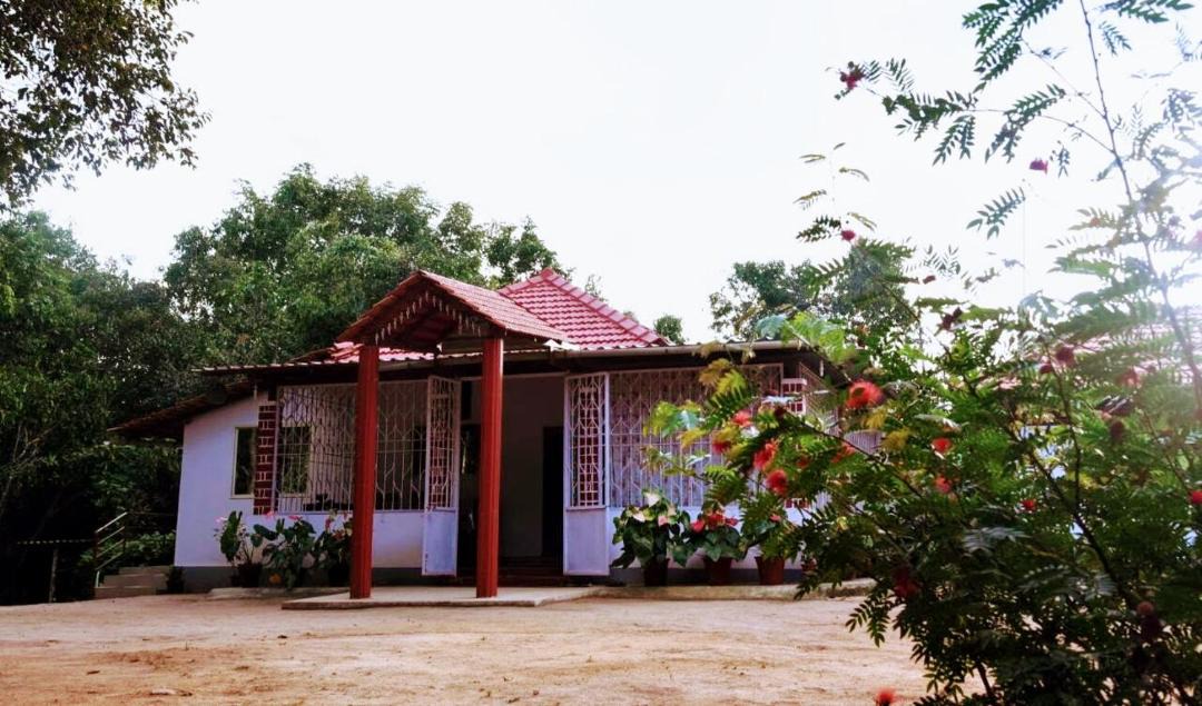 Photo of Buildings in Koppa