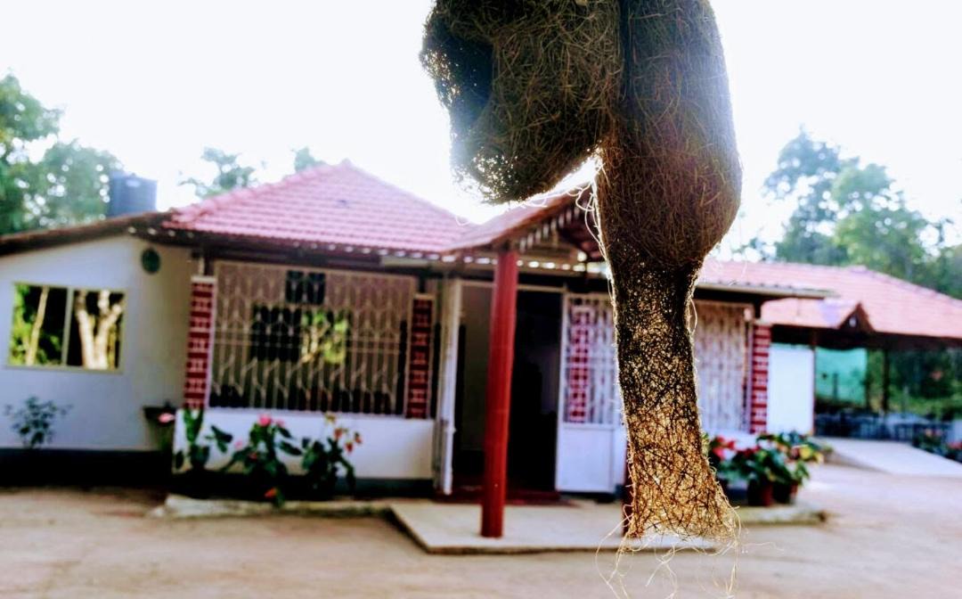 Photo of Buildings in Koppa