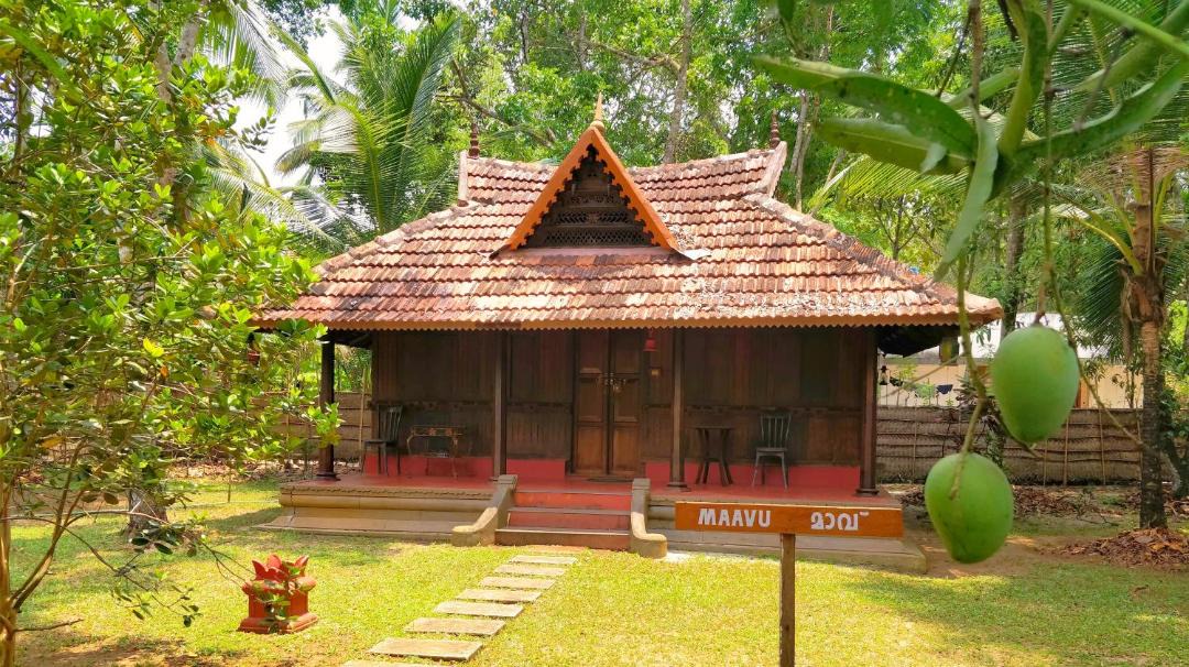 Photo of Others in Cherthala