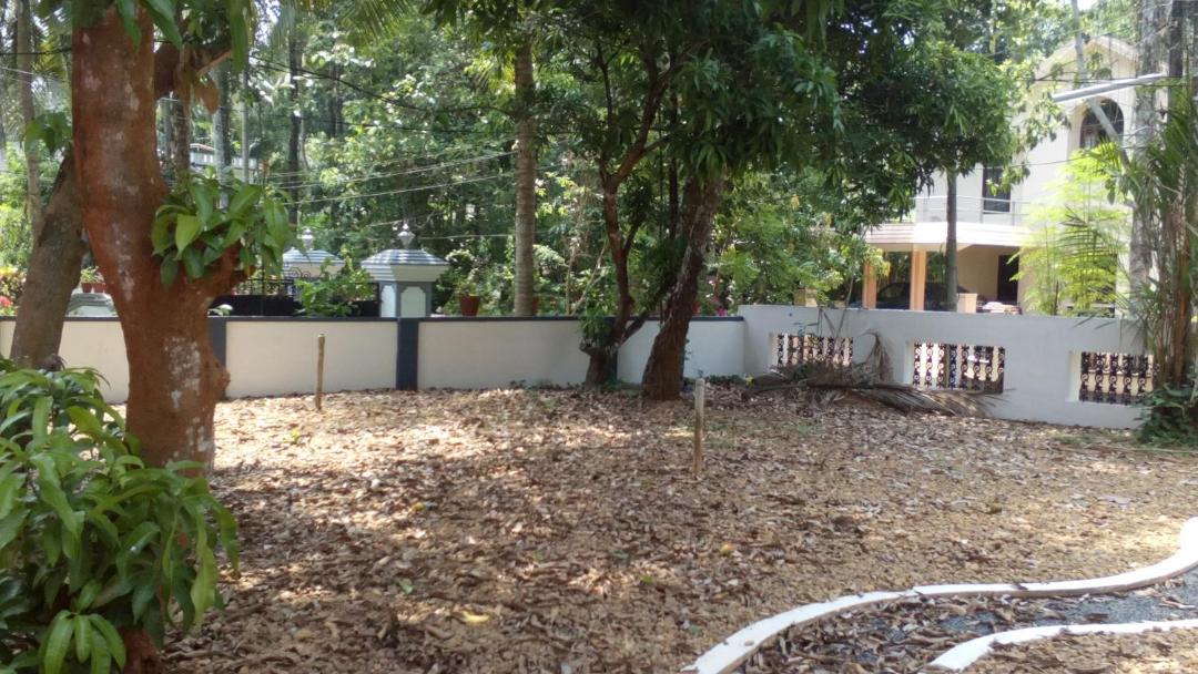 Photo of Others in Kumaranalloor