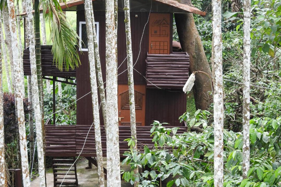 Photo of Buildings in Virarajendrapet