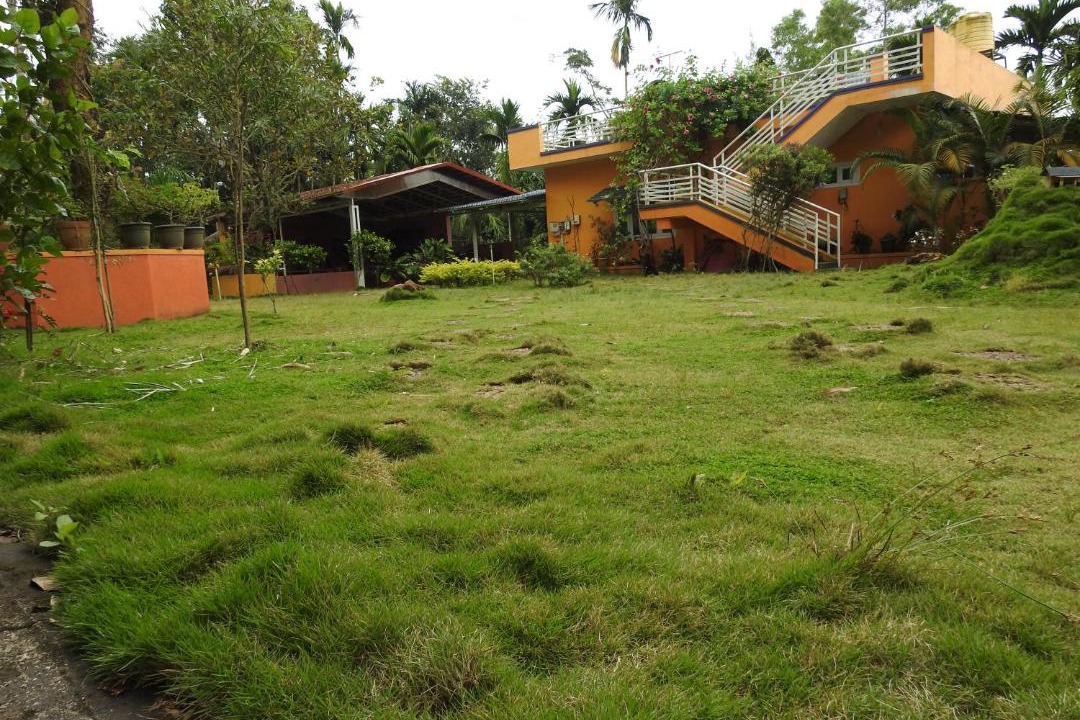 Photo of Buildings in Virarajendrapet