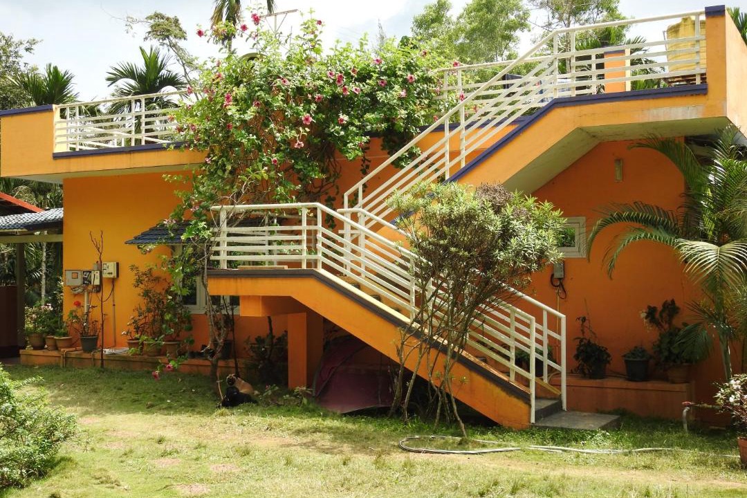 Photo of Buildings in Virarajendrapet