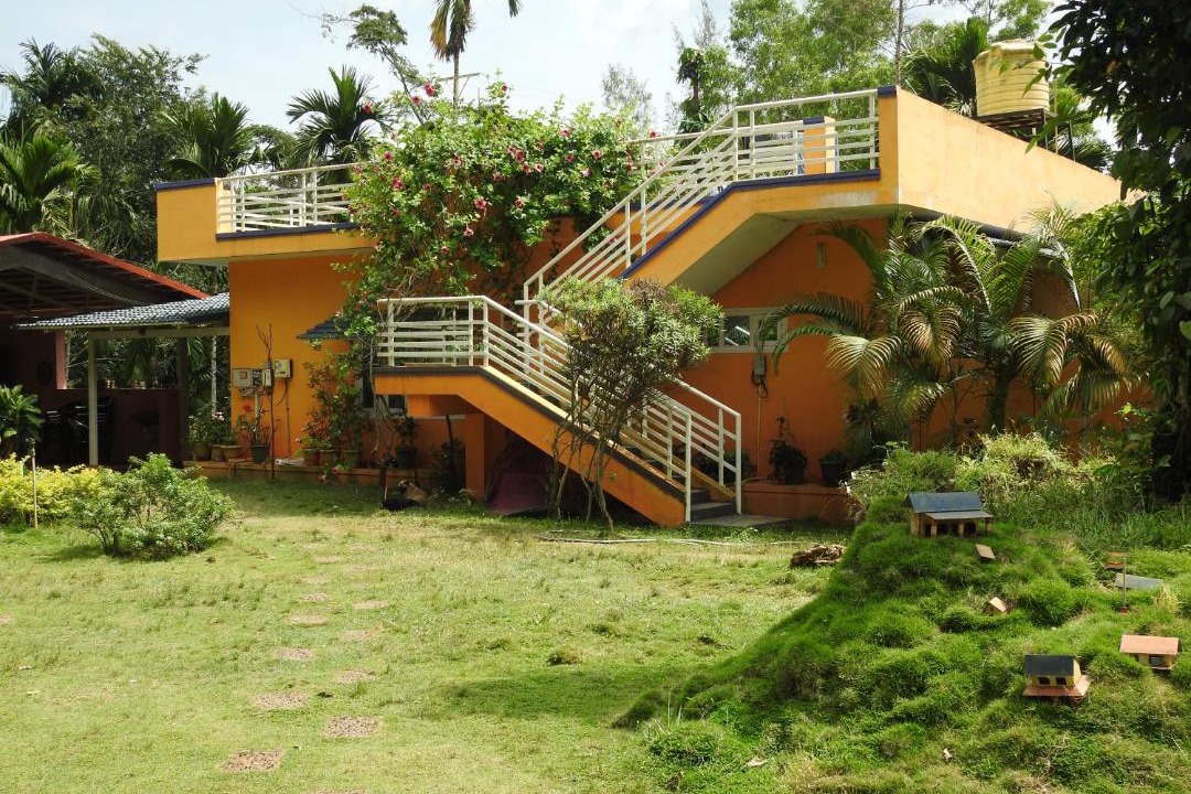 Photo of Buildings in Virarajendrapet