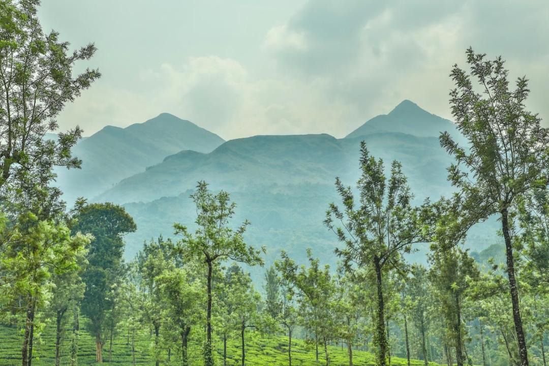 Photo of Outdoor in Kottappadi part