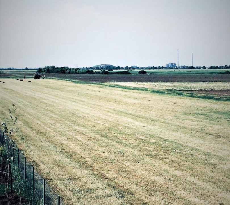 Photo of Outdoor in Zimandu Nou