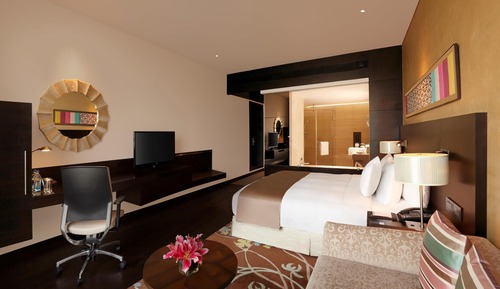 Room, 1 King Bed