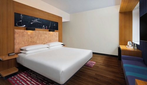 Room, 1 King Bed