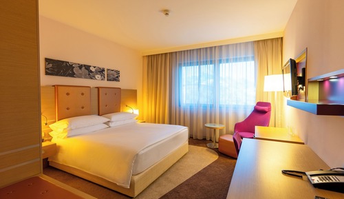Room, 1 King Bed