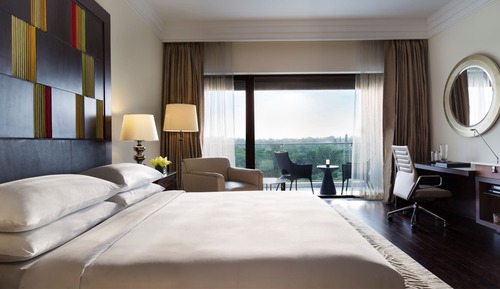 Room, 1 King Bed