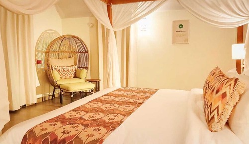 Luxury Cottage (Not for upto 6yr kids / 60+ Yr Senior Citizens)
