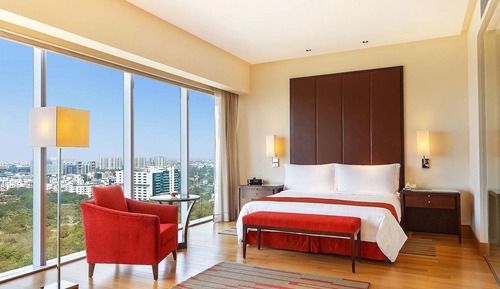 Deluxe Room, Park View
