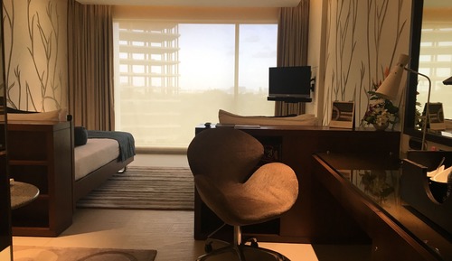 Superior Room, 1 Twin Bed, City View