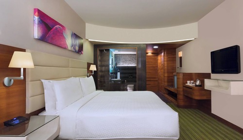 Room, 1 King Bed