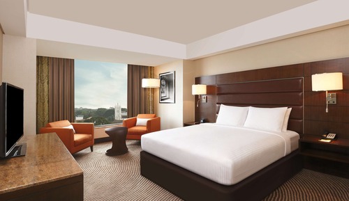 Room, 1 King Bed