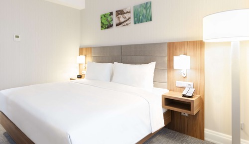 Room, 1 Queen Bed